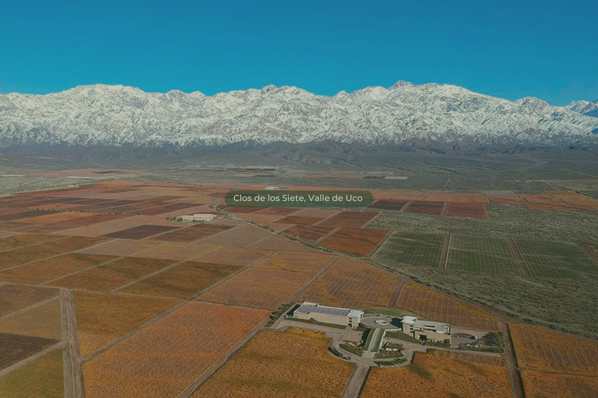 Clos de los Siete: El Lujo Frances en el Valle de Uco